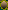 sdreamsuk006002.gif