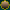 sdreamsuk006005.gif